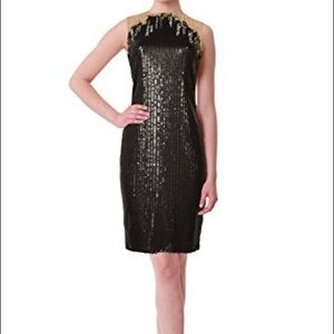 [Tadashi Shoji] Illusion Sheath Dress